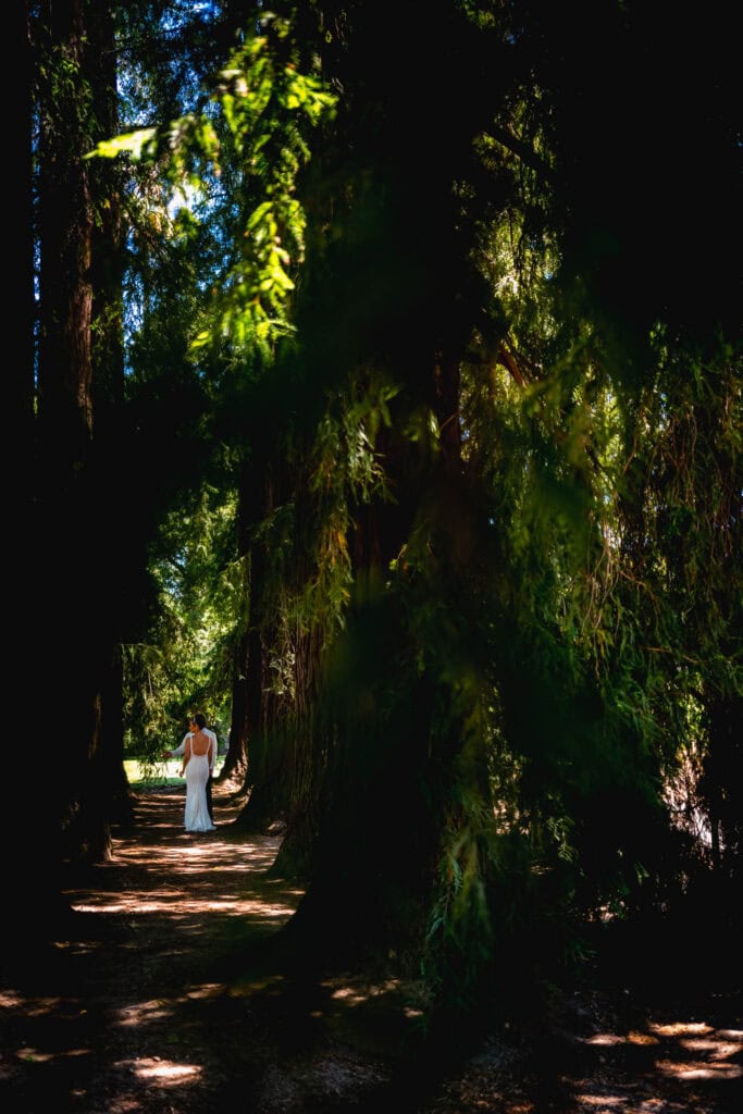 charles krug summer wedding by adam chapin photography 2